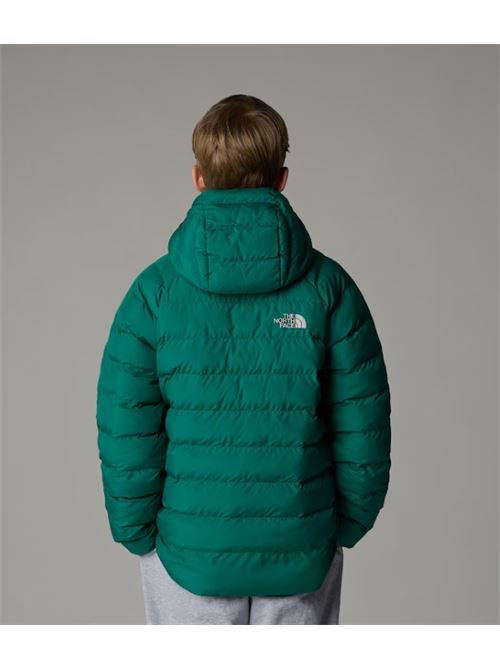 b drew peak p/o hoodie THE NORTH FACE | NF0A88TWNL11NL1